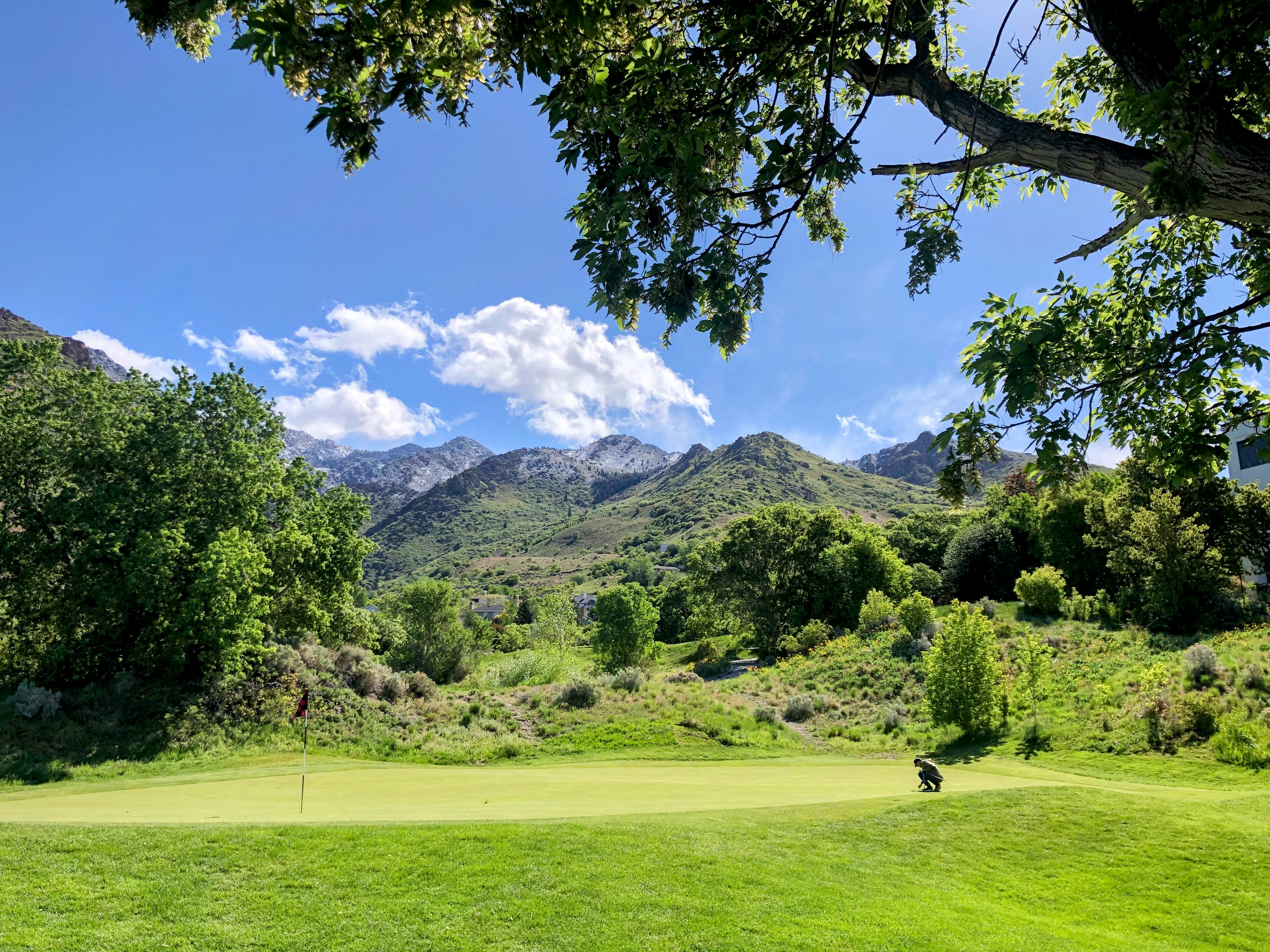 Old Mill Golf
